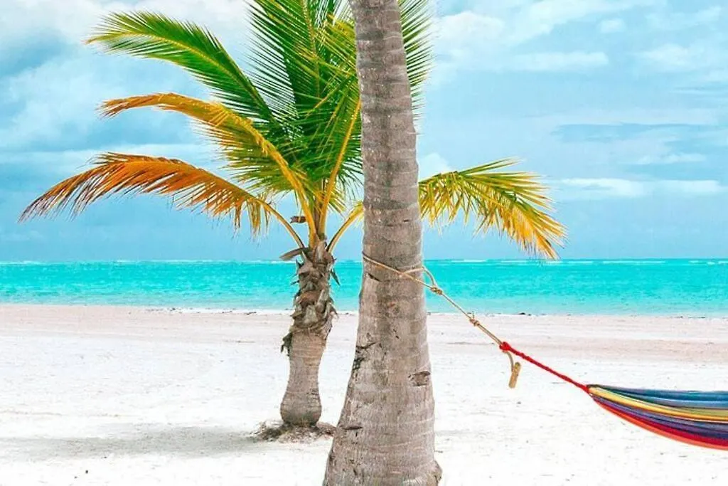 Espectacular Apto En Santo Domingo, Naco 多米尼加共和国